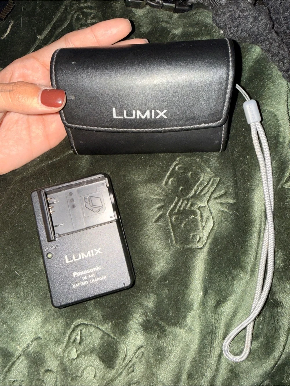 Panasonic Lumix DMC-ZS10 Black Compact Point-and-Shoot Camera with Wrist Strap